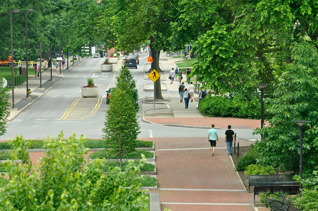 A look at the lush green trees along Shortlidge Road at Penn State's University Park campus.