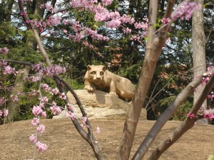 Nittany Lion Shrine viewed through a blossoming plum tree.