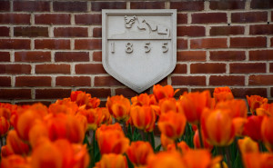 Tulips in front of Penn State shield